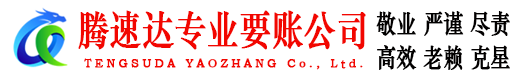 大通腾速达清债公司